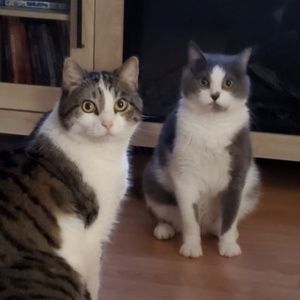 Meet your Posher, Terri